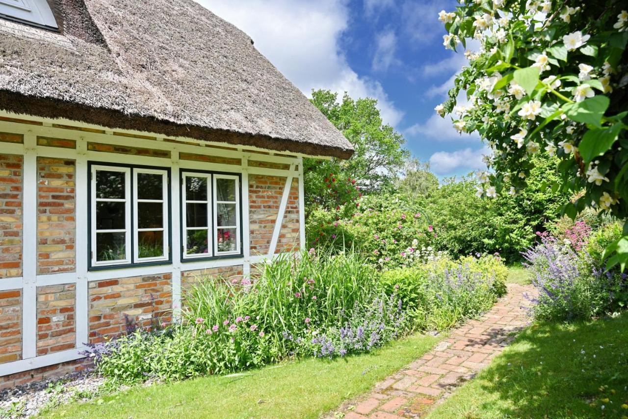 Landhaus Vilmnitz - Wohnung 9 Ngoại thất bức ảnh